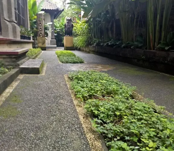 Guest house Umah Dajane